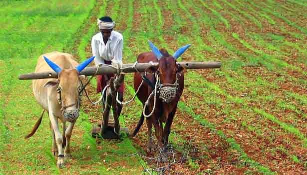 பயிர்கள் சாகுபடிப் பரப்பினை அதிகரிக்க