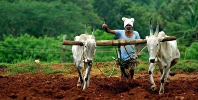 பயிர்கள் சாகுபடிப் பரப்பினை அதிகரிக்க