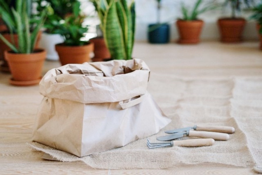 pot for plants