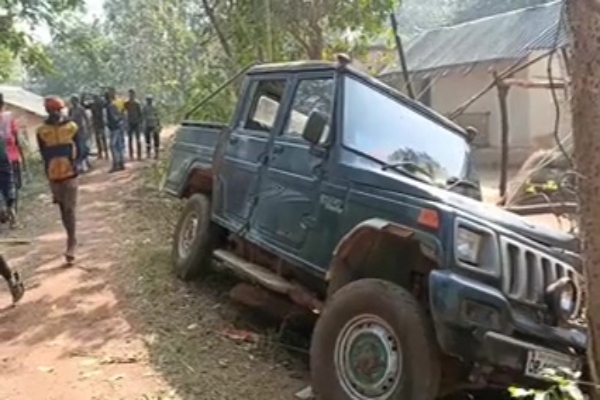 Baby elephant rescued