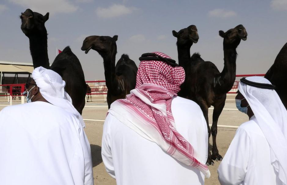 Until now, only men attended the King Abdulaziz Camel Festival