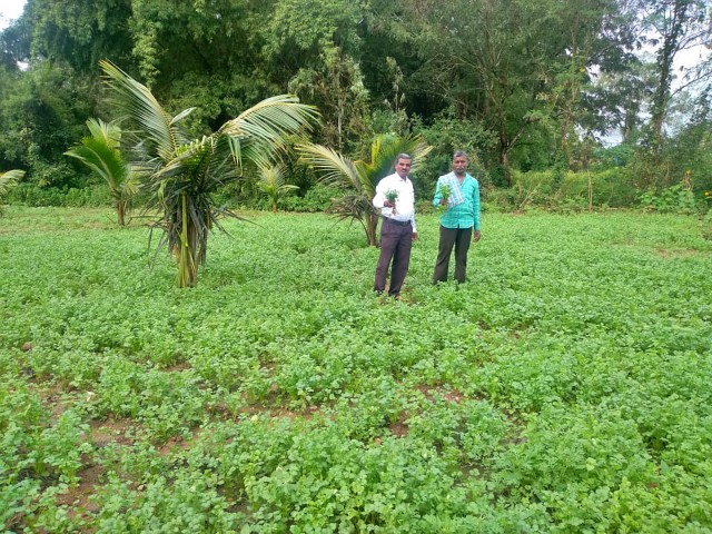 school-teacher-who-helped-children-to-grow-vegetables-in-an-empty-field-at-hassan