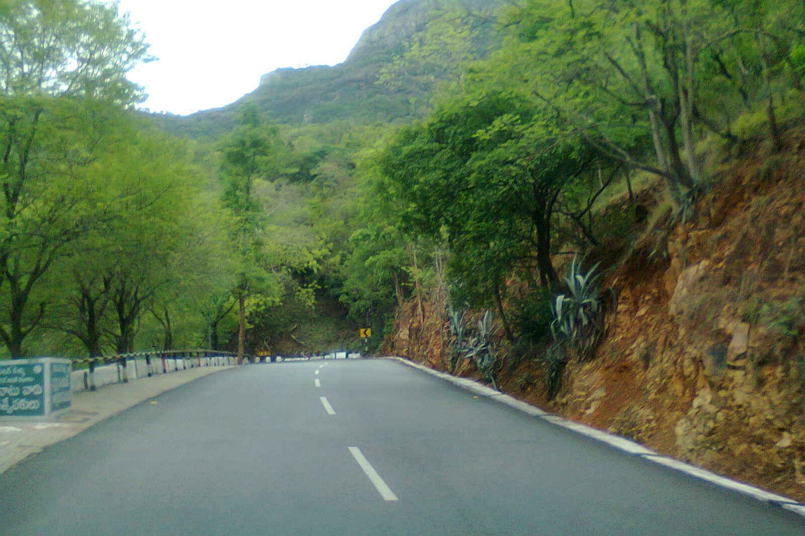 Tirumala kanuma way, ttd