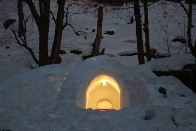 igloo in kullu manali himachal pradesh