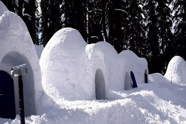 igloo in kullu manali himachal pradesh