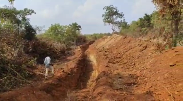 damagundam forest area