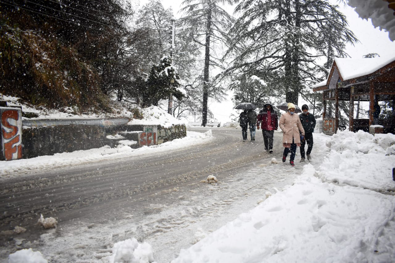 tourists in himachal pradesh