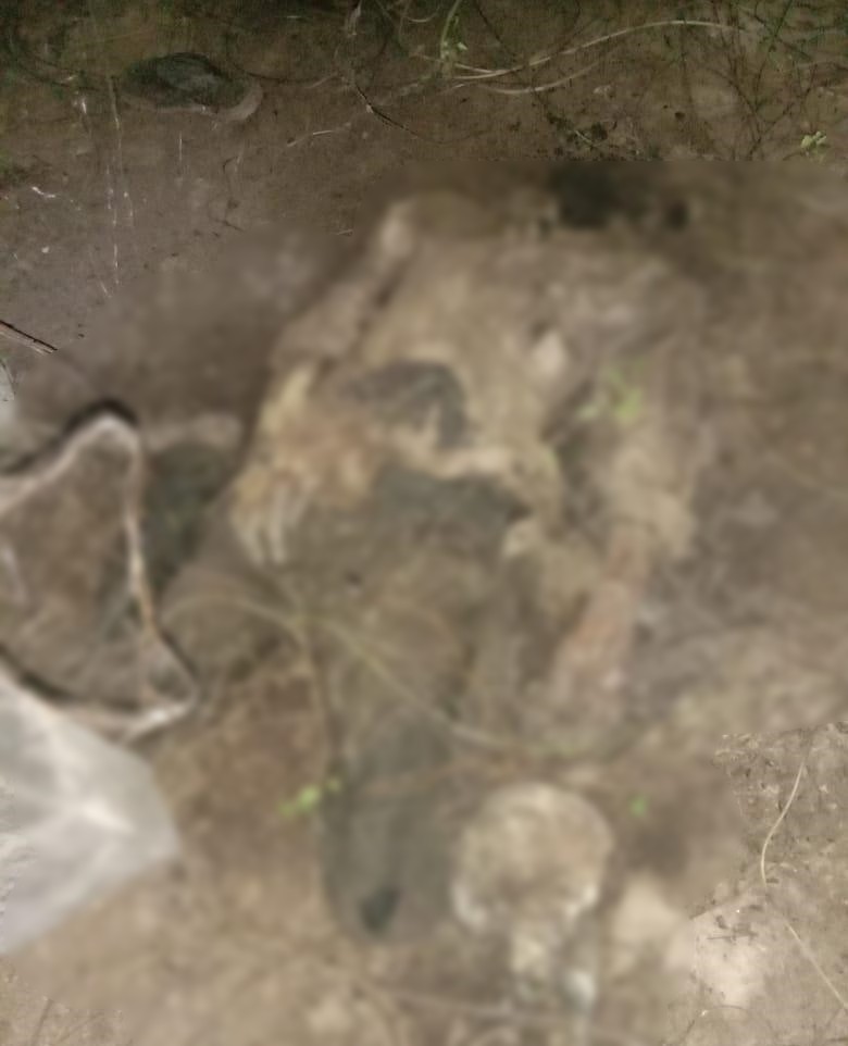 dead-body-found-in-chikkamagaluru
