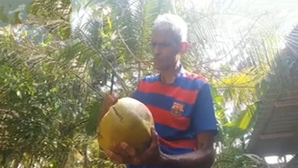 Man Eats Only Coconuts