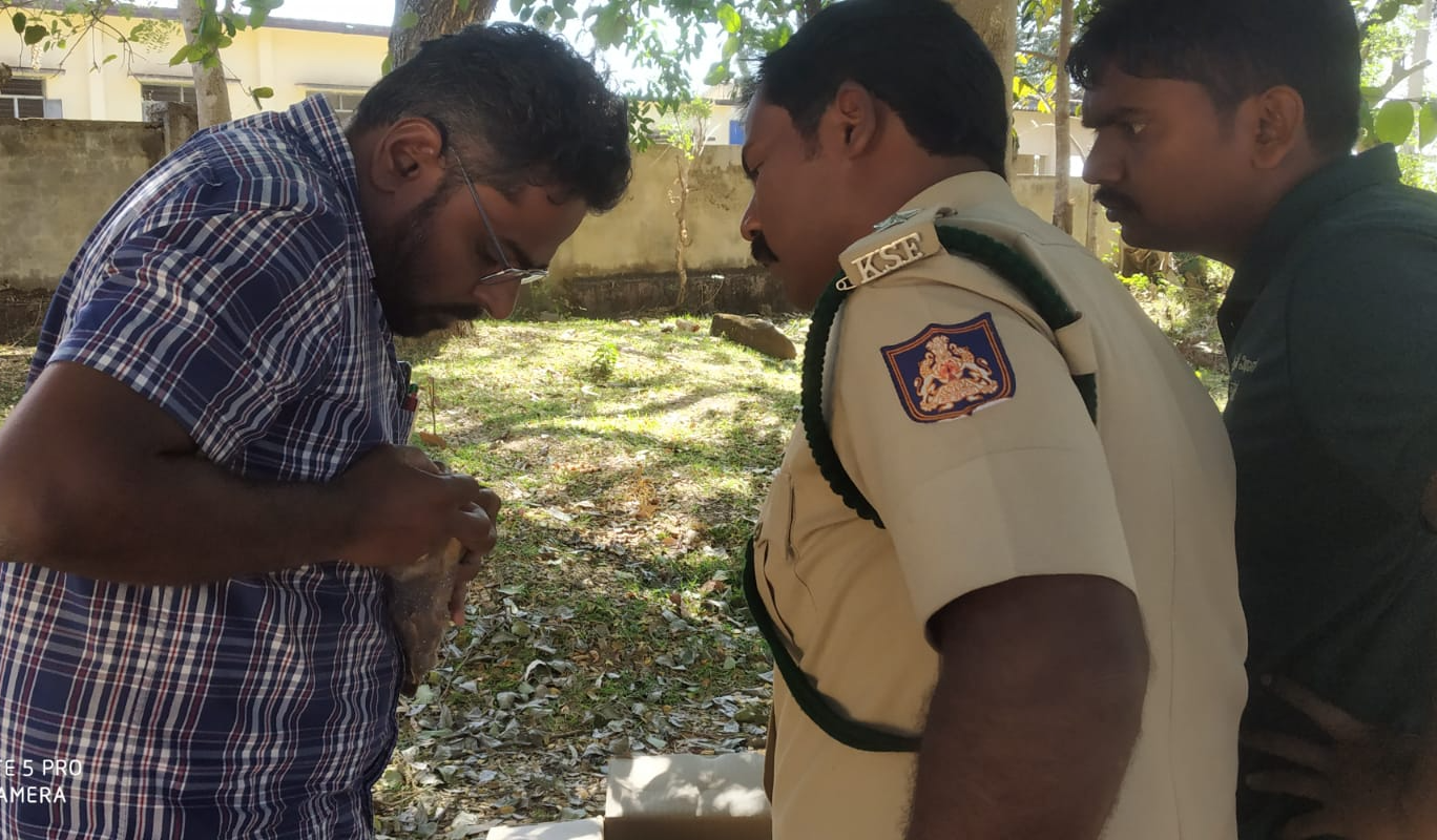 Barn owl rescued  in Karwar