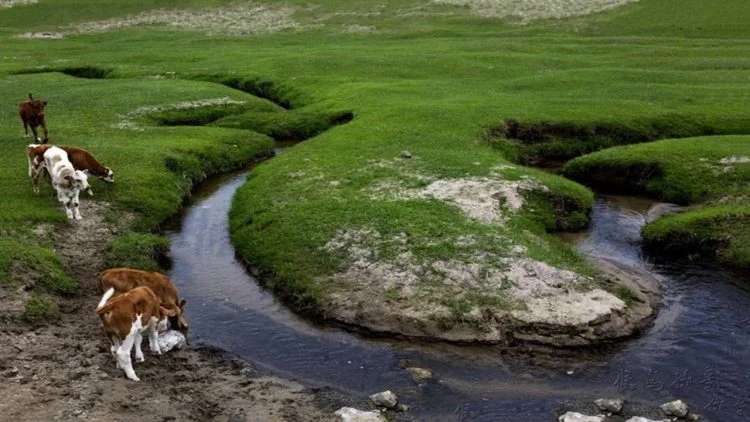 worlds-narrowest-river