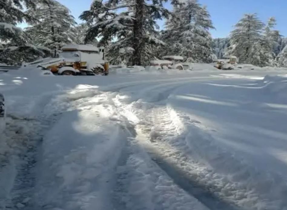 snowfall in shimla