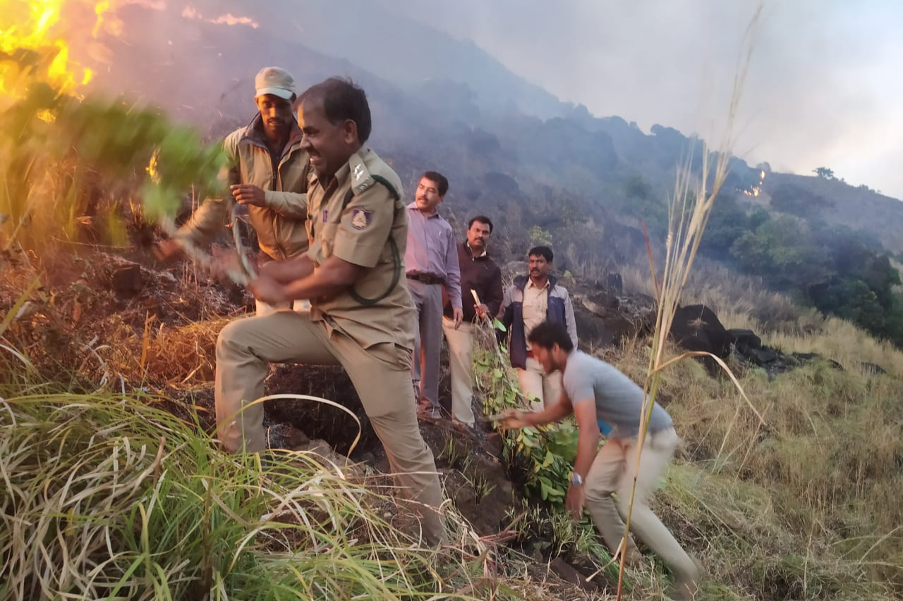 forest fire engulfs in charmadi ghat