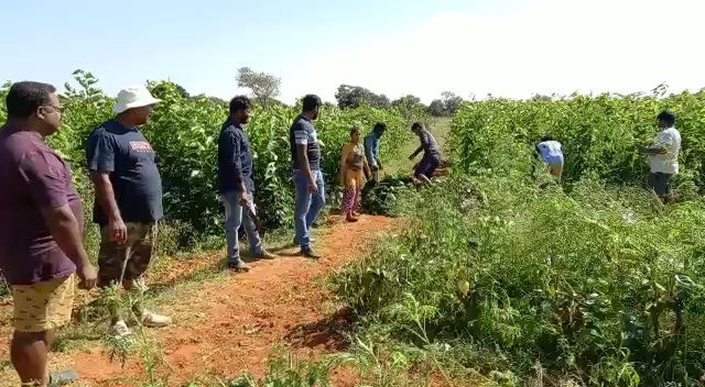 karnataka religious tolerance