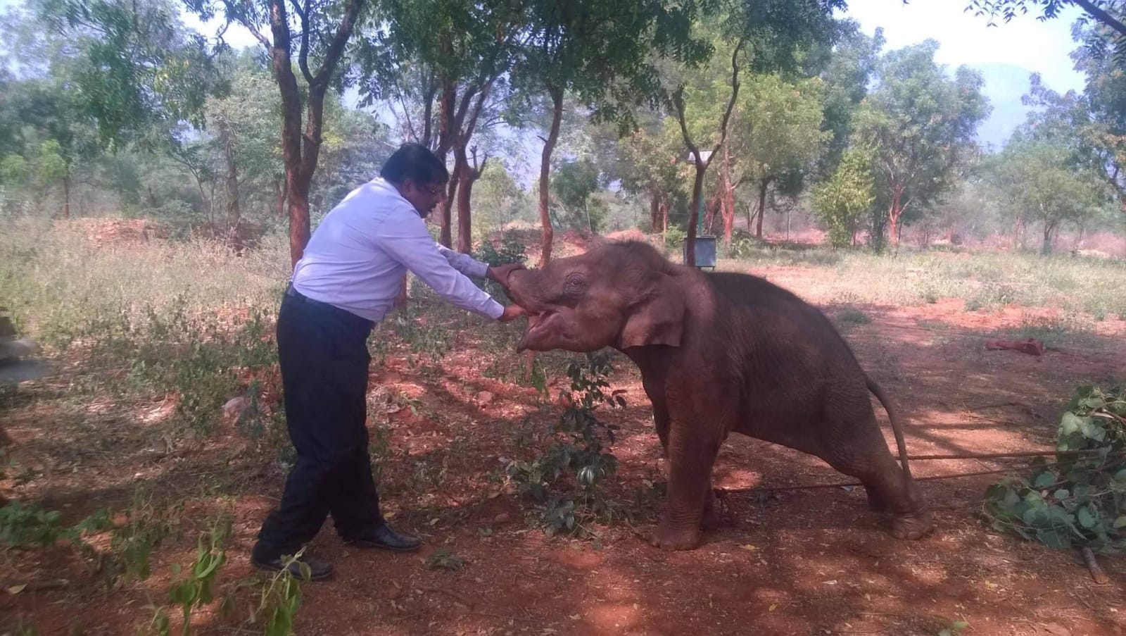 மருத்துவர் அசோகன்