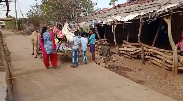 Bullock cart library