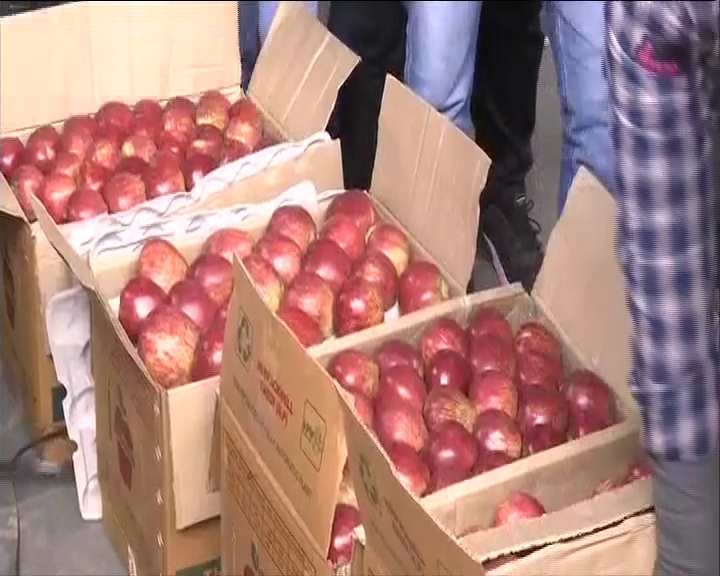 APPLE PRODUCTION IN HIMACHAL