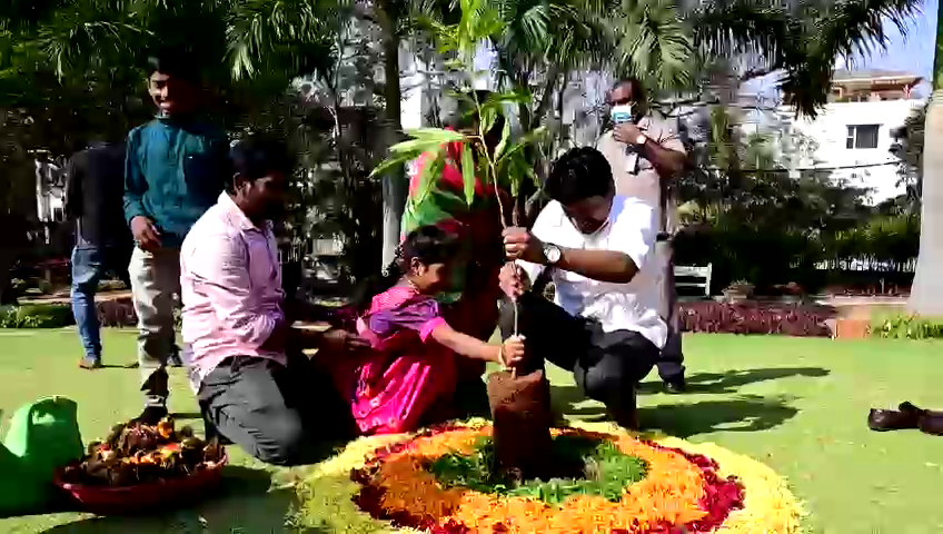 Green india challenge At GHMC park, blessy seed balls