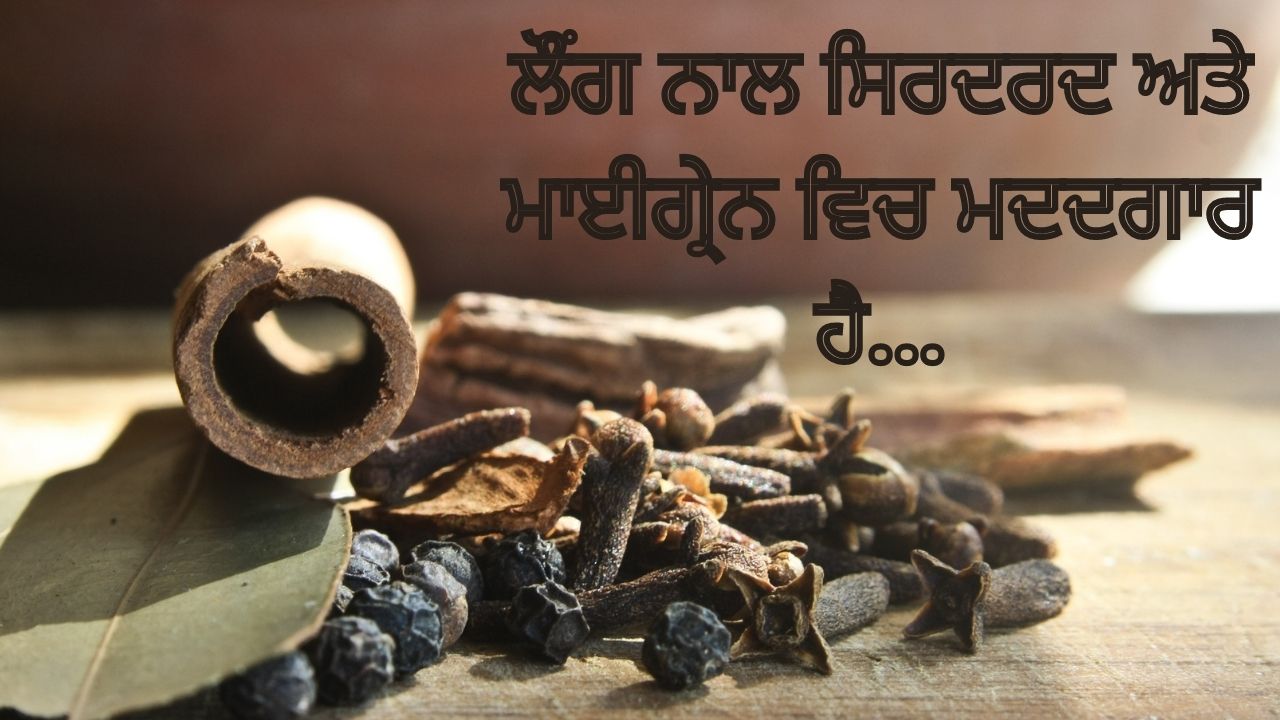 ਲੌਂਗ ਸਮੁੱਚੀ ਸਿਹਤ ਲਈ ਕਿਵੇਂ ਫਾਇਦੇਮੰਦ... ਆਓ ਜਾਣੀਏ