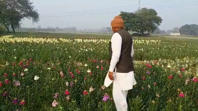 Kail Flowers farming Palwal