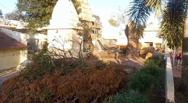 Trees cut in Mahakal temple