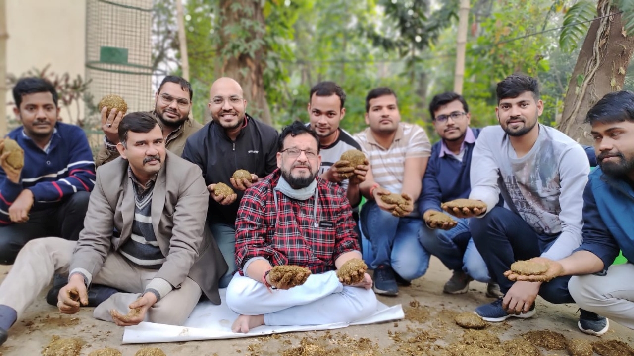 cow dung cakes