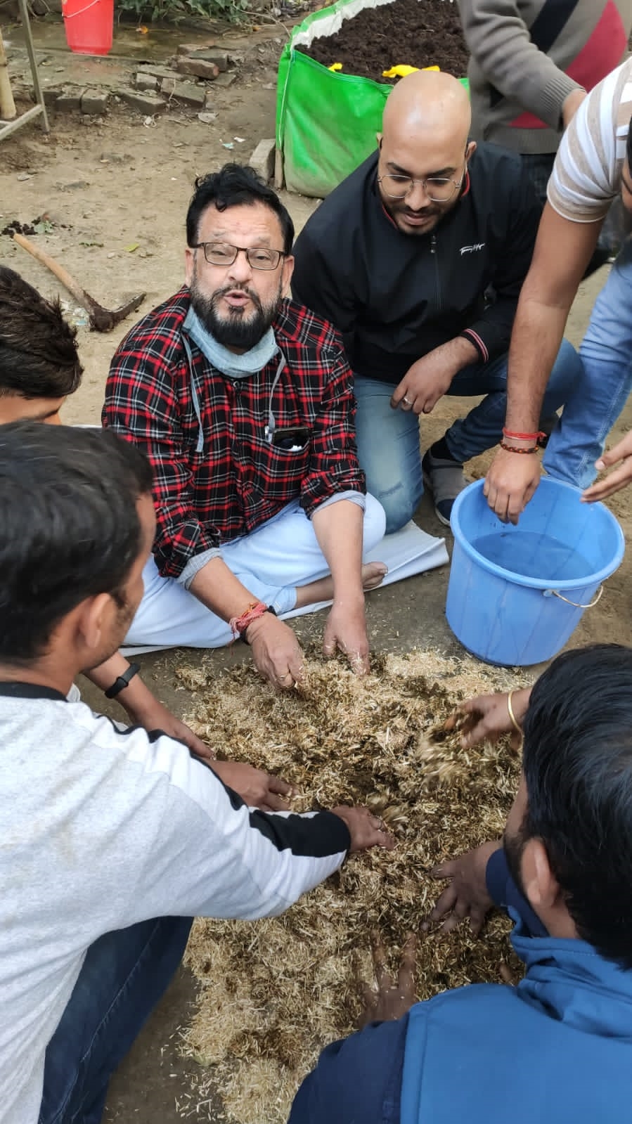 cow dung cakes