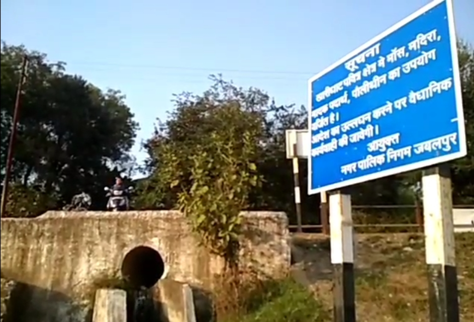 Narmada Jayanti 2022