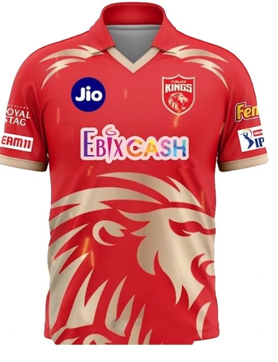 punjab kings jersy