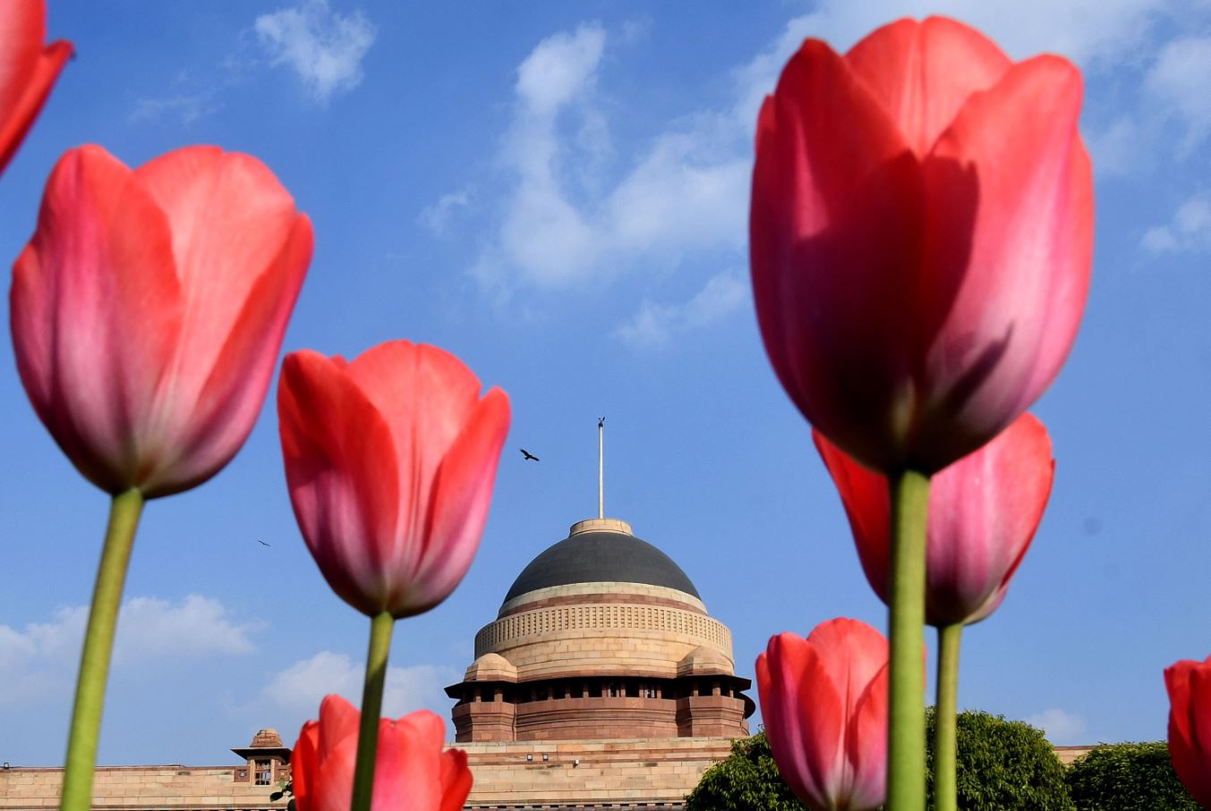 मुगल गार्डन (फाइल फोटो)