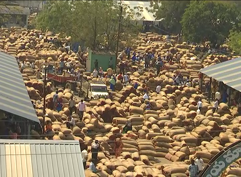 huge crowd of mirchi farmers to khammam market yard