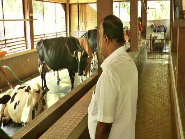 Udupi Businessman Suresh protecting more than 70 cattles