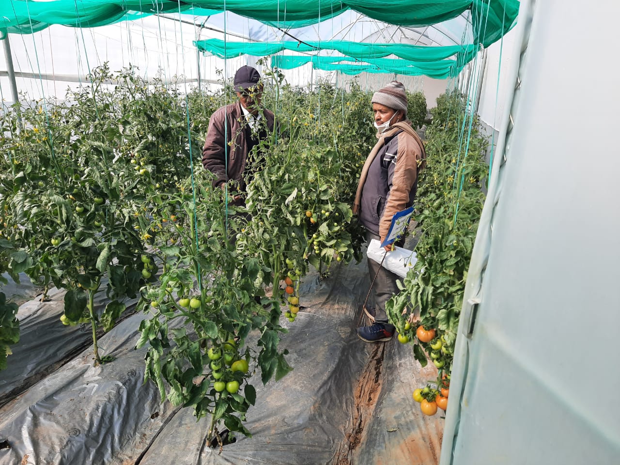 farmer Virendra singh