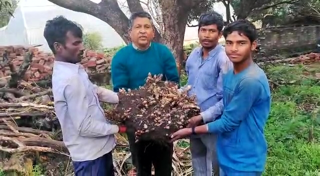 Uttarakhand Farmer 24KG Turmeric