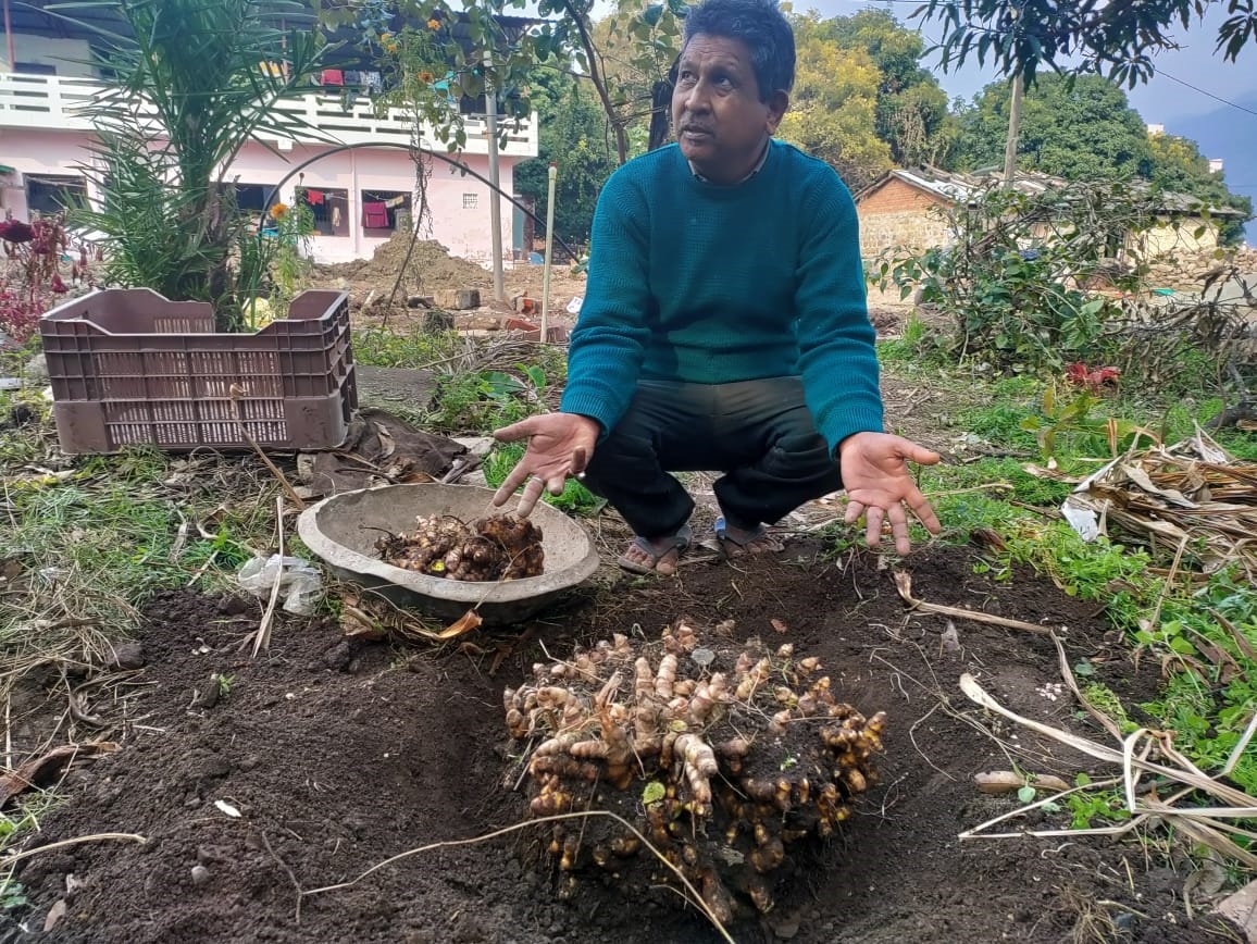 Uttarakhand Farmer 24KG Turmeric