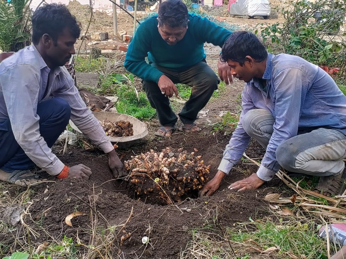 Uttarakhand Farmer 24KG Turmeric