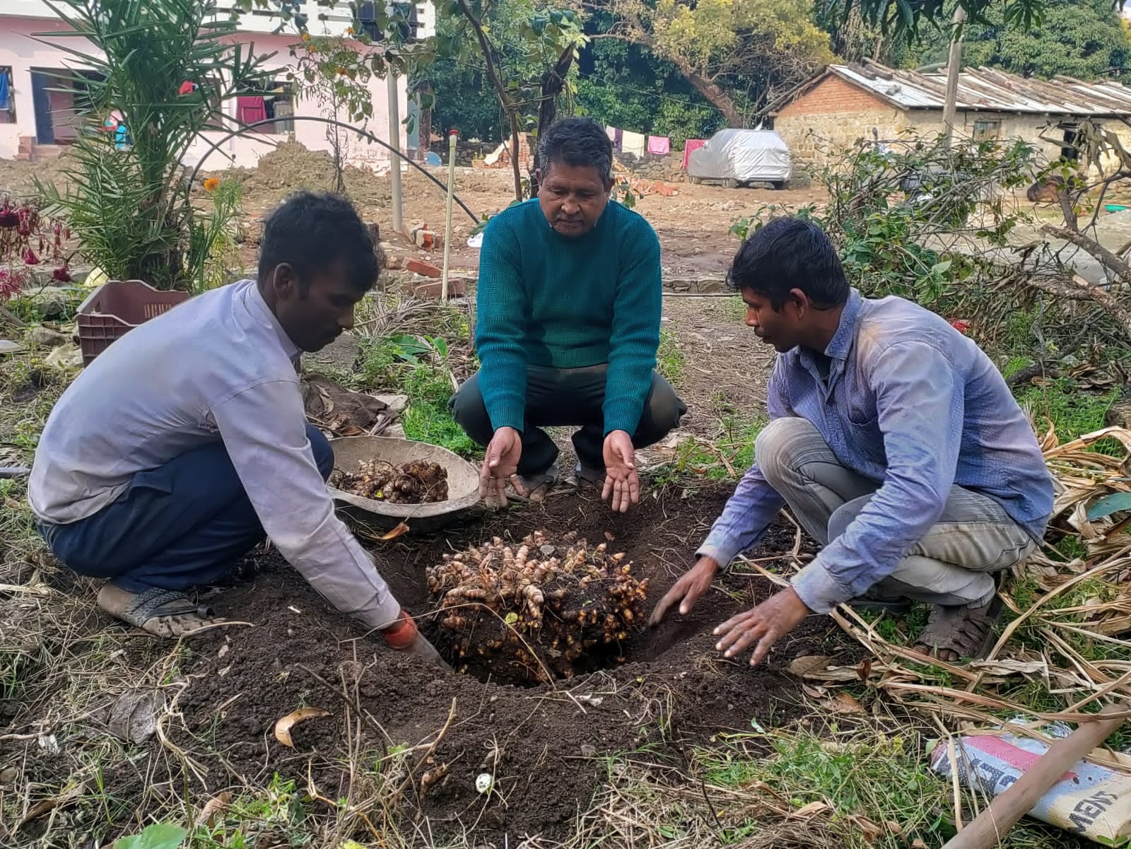 Uttarakhand Farmer 24KG Turmeric