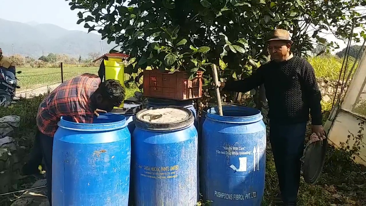 Uttarakhand Farmer 24KG Turmeric