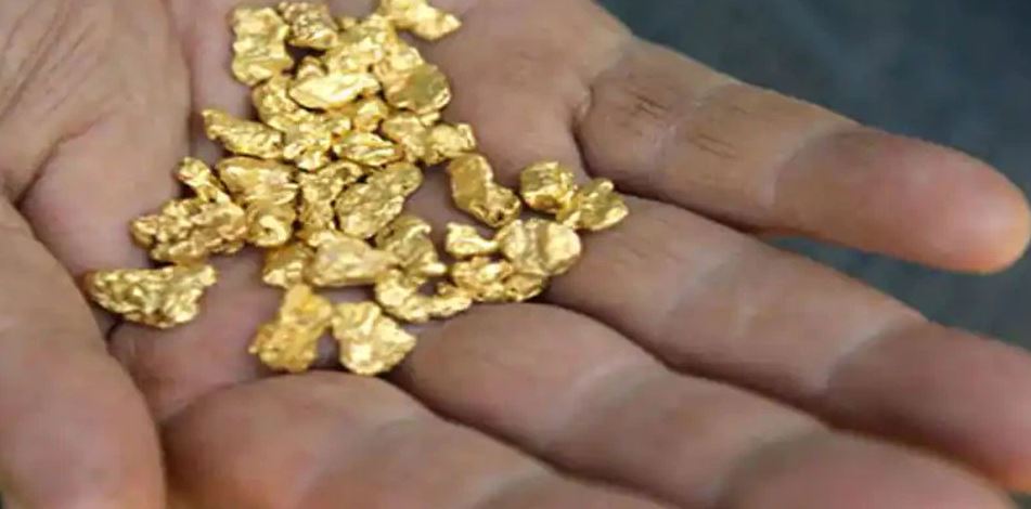 gold flows with water in swarnarekha river