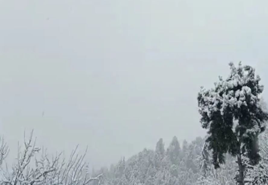 Himachal Weather Updates