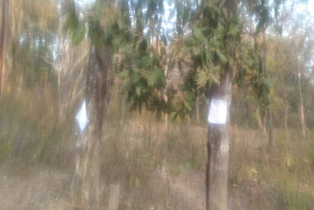 बीजापुर में नक्सलियों ने पेड़ों पर लगाए पोस्टर