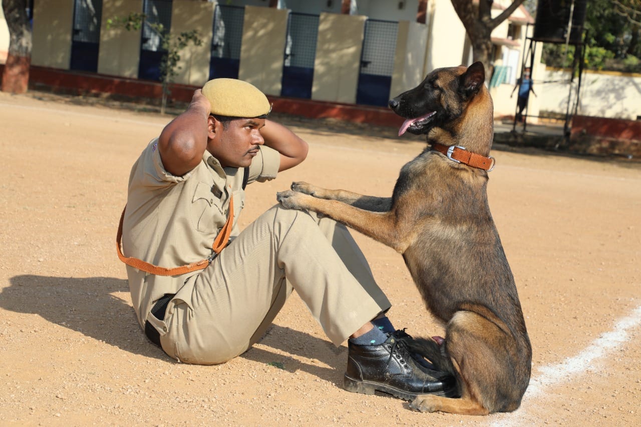 శిక్షకుడితో జాగిలం