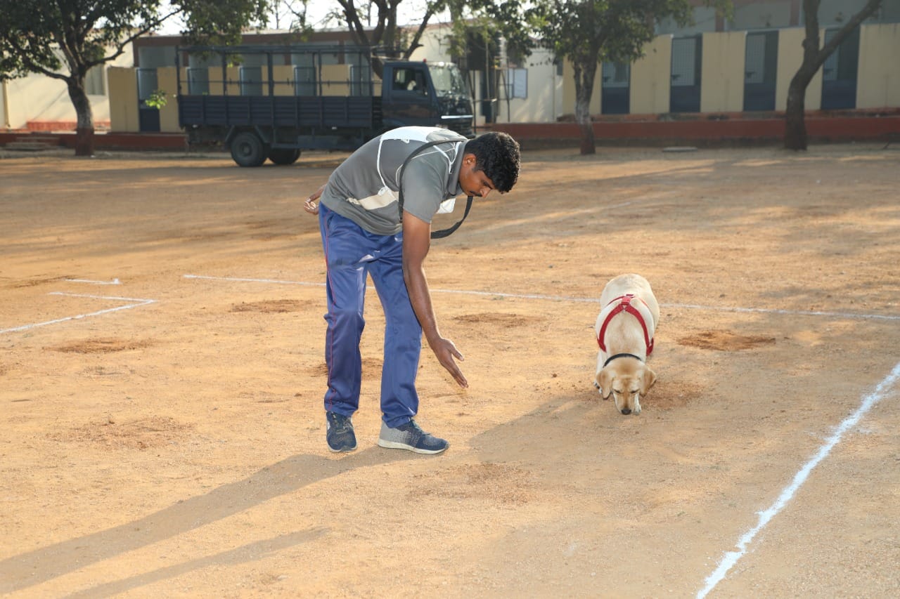 పసిగడుతున్న జాగిలం