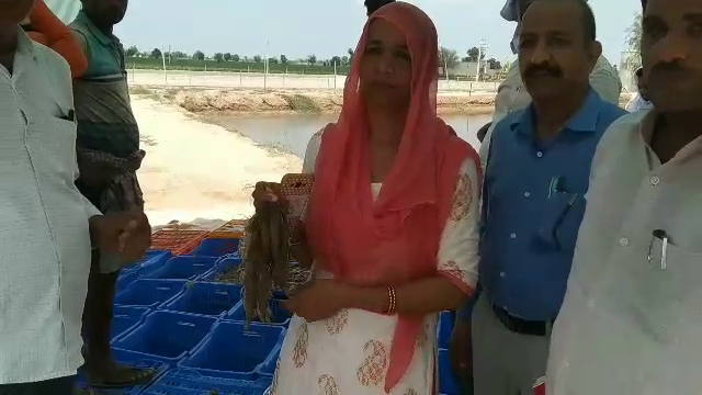 Sirsa female farmer fish farming