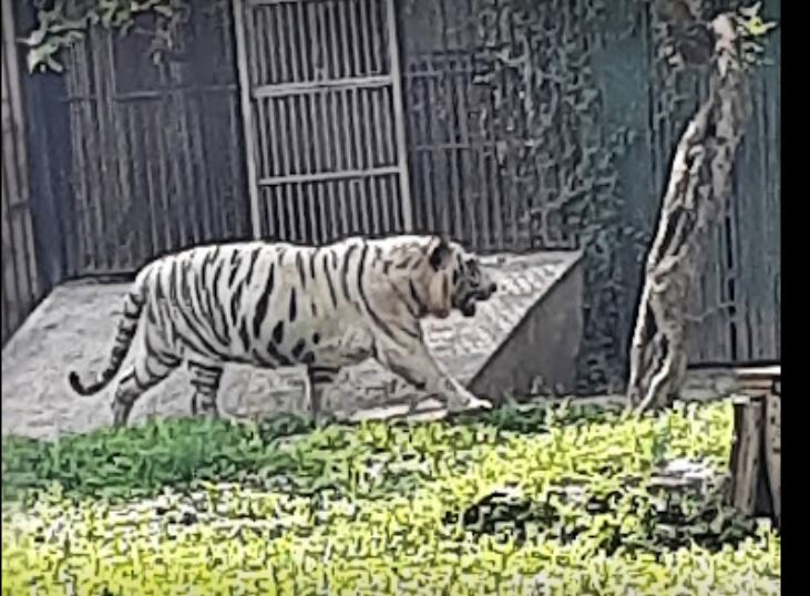 ದೆಹಲಿ ಮೃಗಾಲಯ