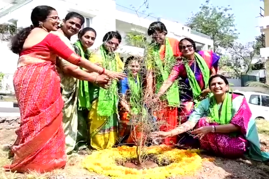 Plantation on Women's day