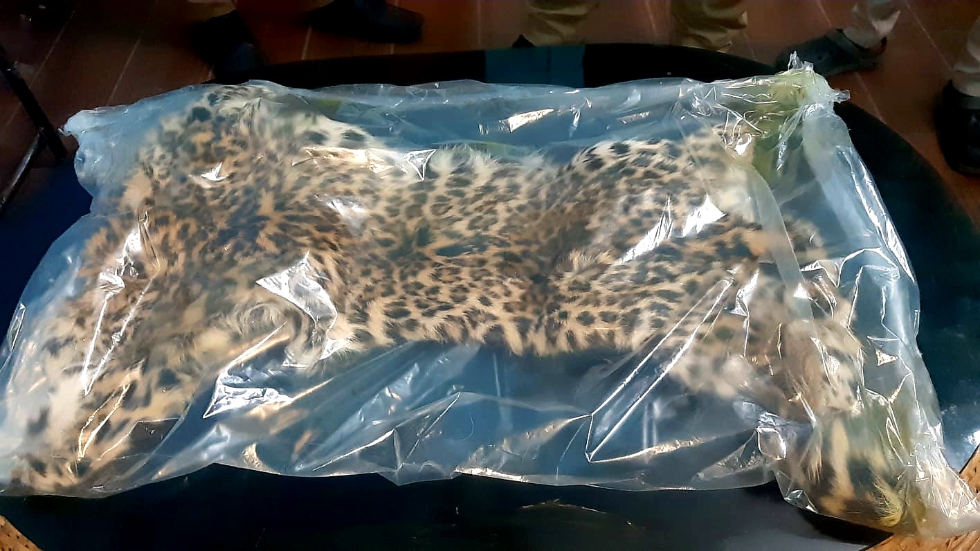 3-people-are-arrest-on-leopard-killed-in-siliguri