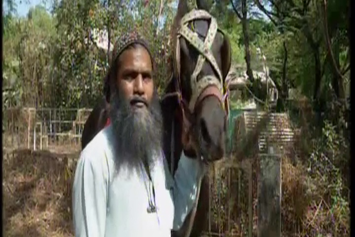 horse owner Shaikh Yusuf