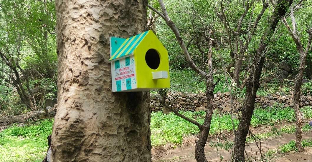 Bird house on the birth of daughter