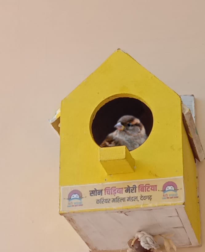 Bird house on the birth of daughter